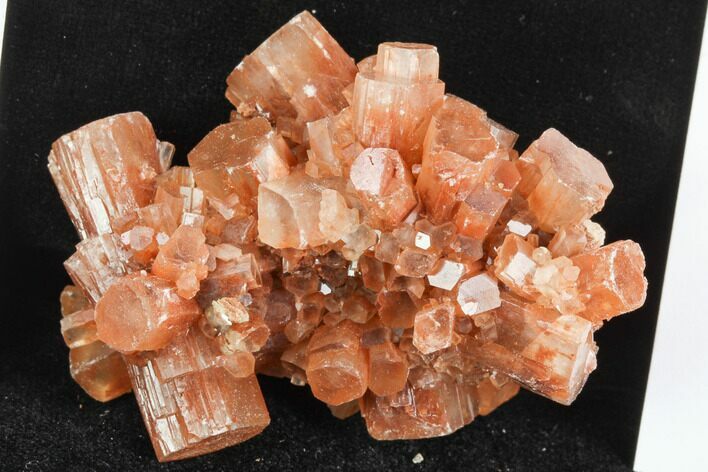 Aragonite Twinned Crystal Cluster - Morocco #122171